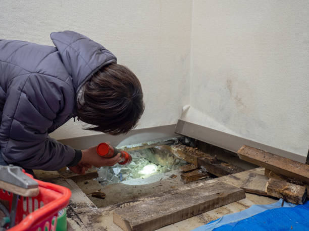 Best Mold Prevention Services  in Fairfax, OK