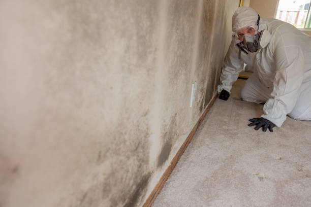 Best Indoor Air Quality Assessment  in Fairfax, OK